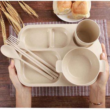 環保及可降解材料PLA餐盒吸塑詳解